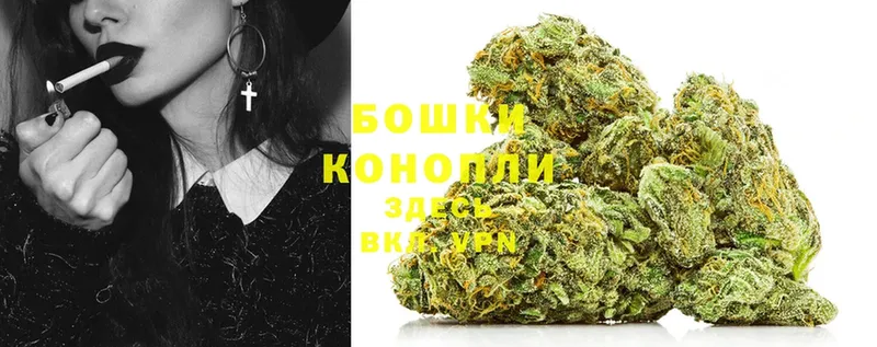 где купить наркотик  Нестеровская  Каннабис White Widow 